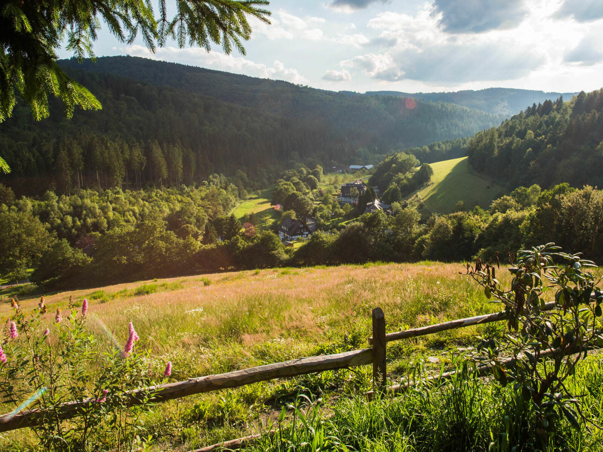 Landschaft erleben auf dem Rothaarsteig bei Latrop im Schmallenberger Sauerland