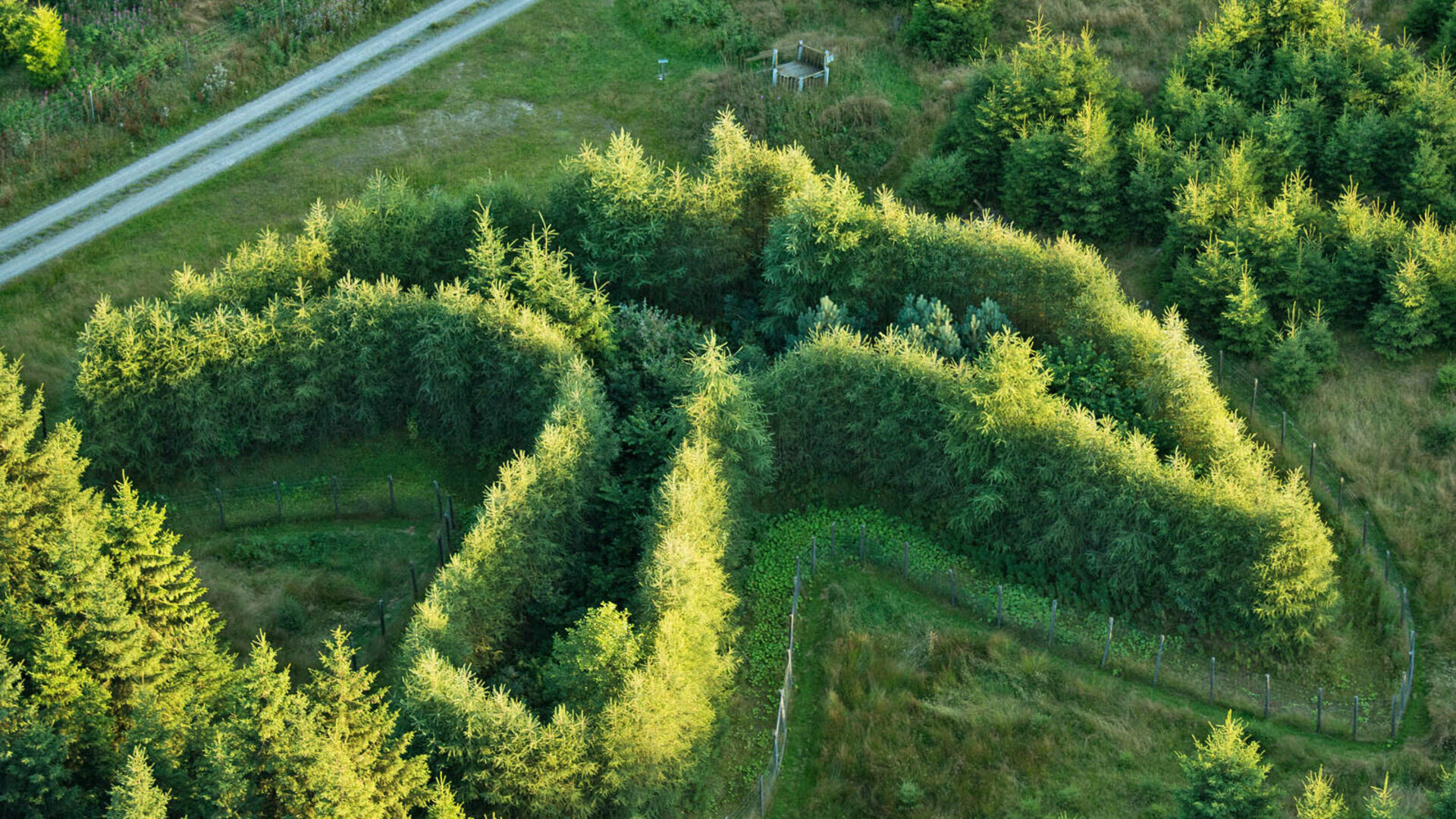 Skulptur "Der Falke" am WaldSkulpturenWeg im Sauerland